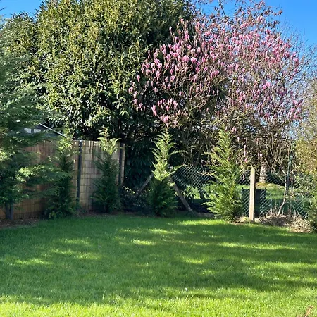 Villa Au Grand Cedre - Escapade Nature A 50 Min De Paris *